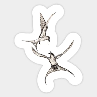 Swallows Sticker